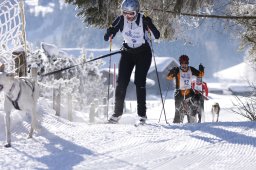 Lenk 2013